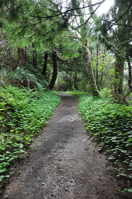 north trail hike