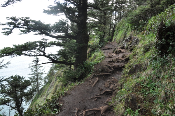 cliff trail