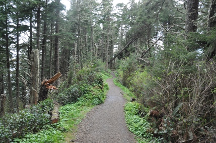 cape lookout trail