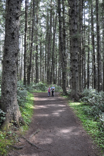 Octopus Tree trail