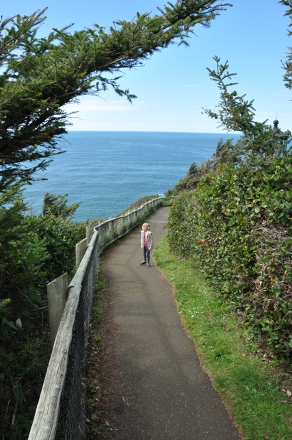 Cape Meares 