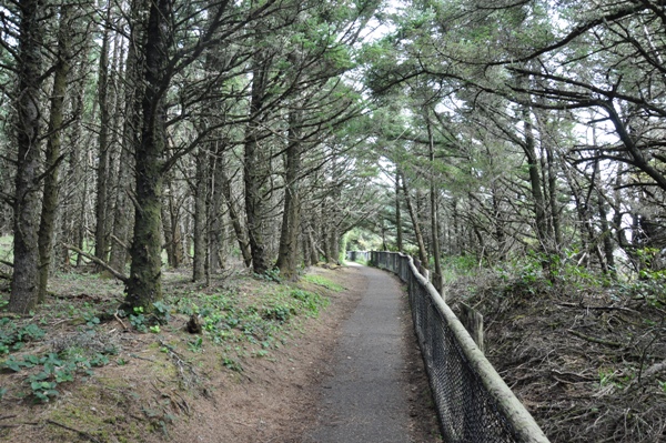 Cape Meares 