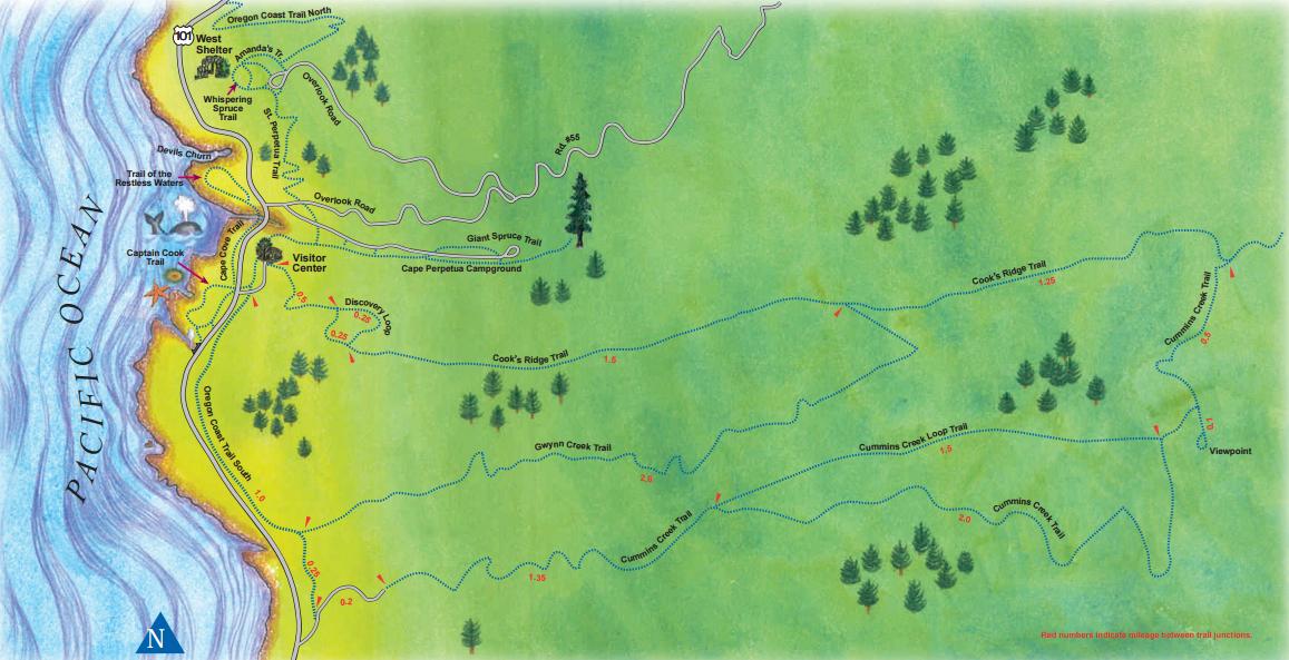 cape perpetua map