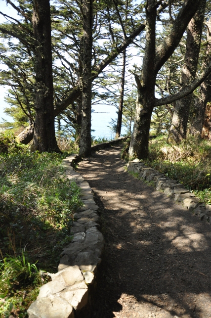 Cape Perpetua 