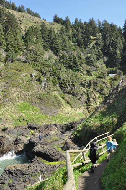 Cape Perpetua 