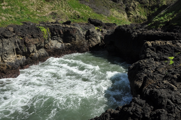 Cape Perpetua 