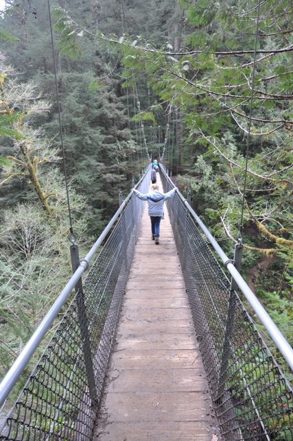 Drift Creek Falls Bridge