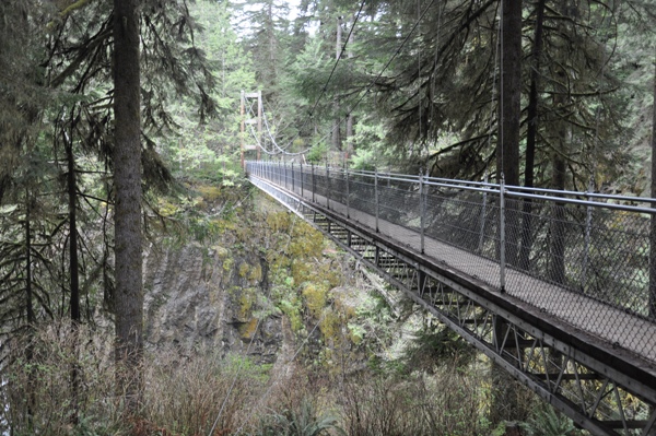 Drift Creek Falls Bridge