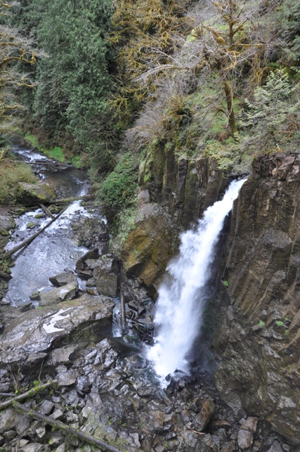 Drift Creek Falls