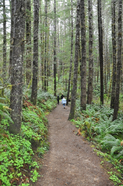 Drift Creek Falls