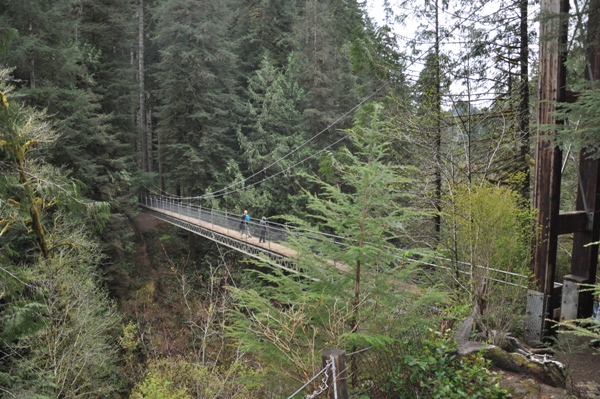 Drift Creek Falls