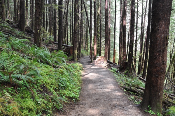 Drift Creek Falls