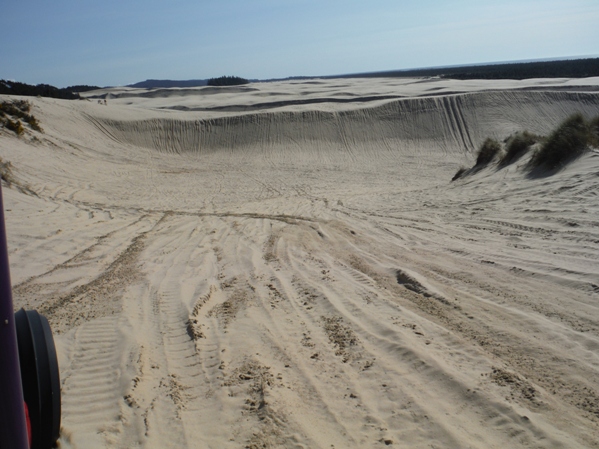 Oregon Dunes 