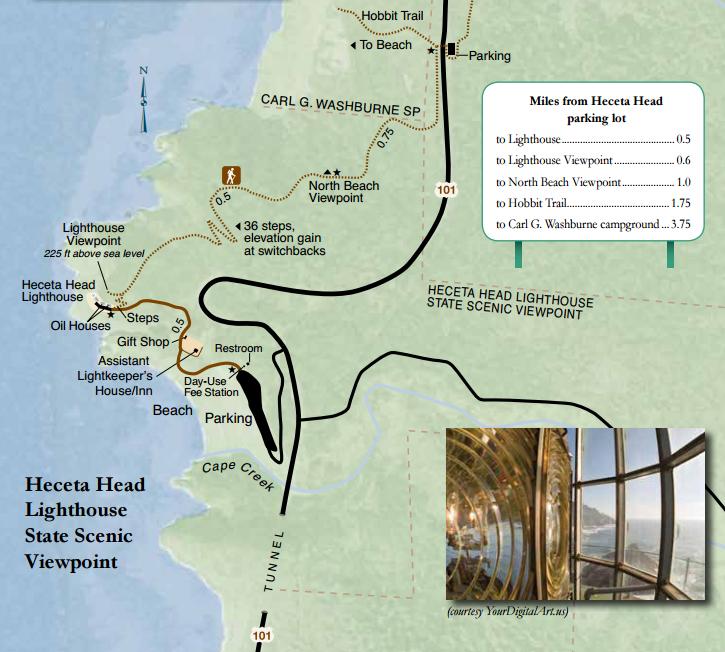 heceta head lighthouse map