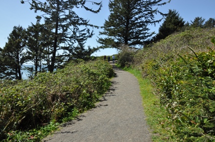 Heceta Trail