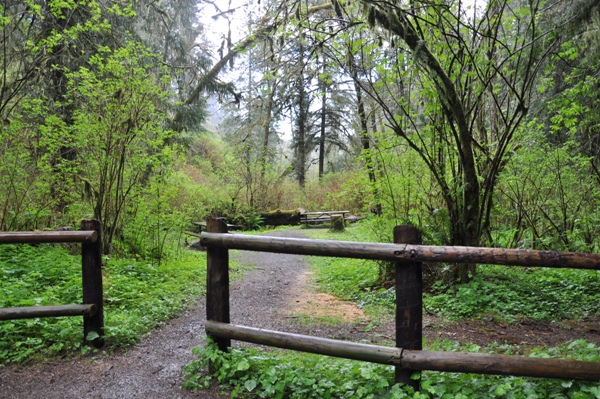 munson creek picnic