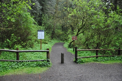 munson creek falls trailhead