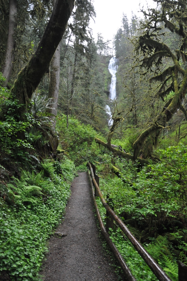 munson creek falls