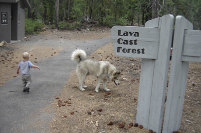 Lava Cast Forest