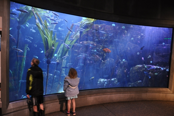 Oregon Coast Aquarium