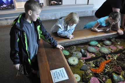 touch tank