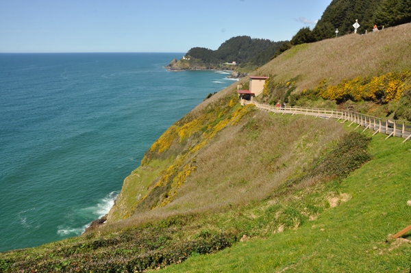 Sea Lion Caves