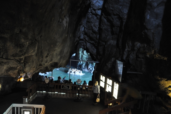 Sea Lion Caves