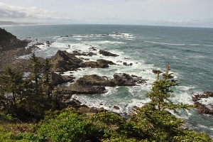 Cape Arago 