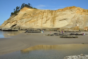 Cape Kiwanda 