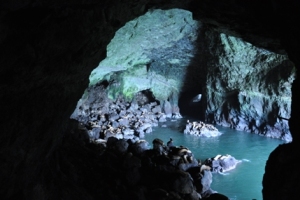 Sea Lion Caves