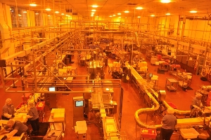 tillamook-cheese-factory.jpg