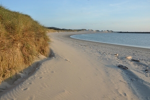 Umpqua Beach 