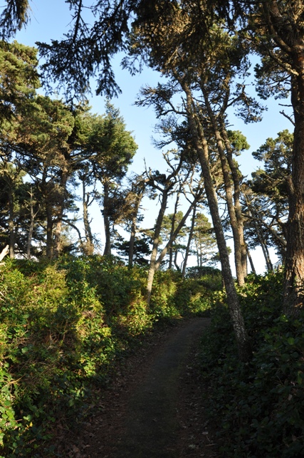 hiking trail