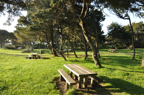 Picnic Area