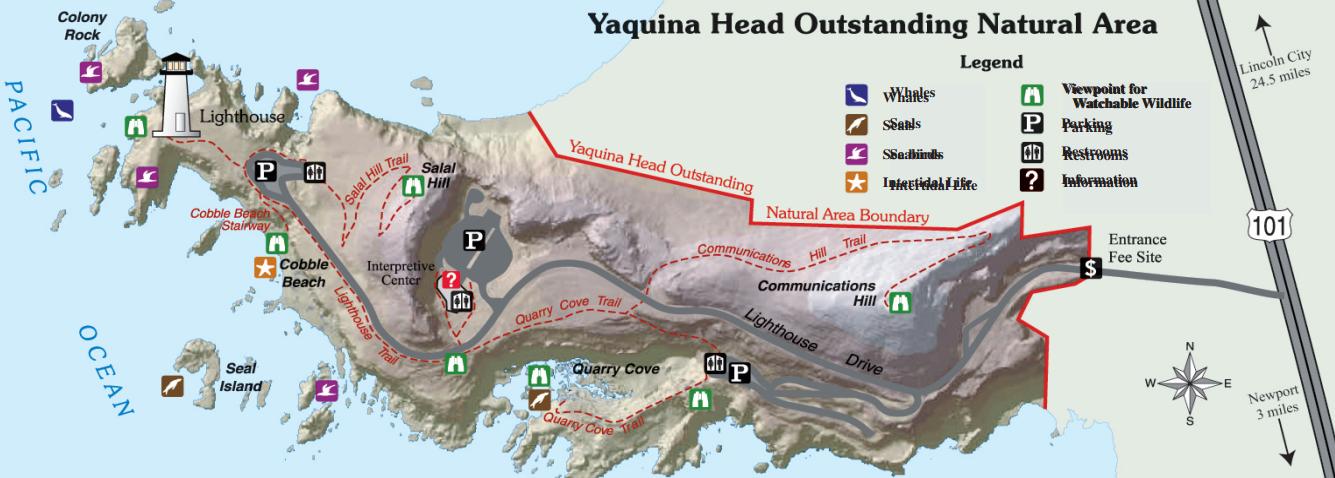 yaquina head map