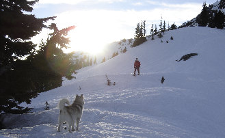 Rock Mountain near Stevens Pass