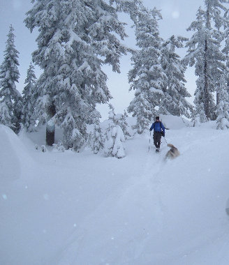 Snowshoeing downhill