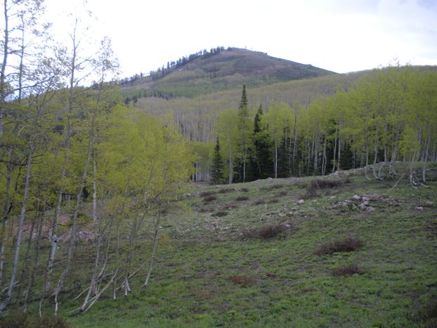 Bald Mountain 