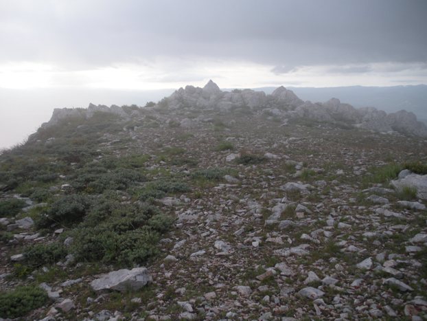 summit of Bald Mountain