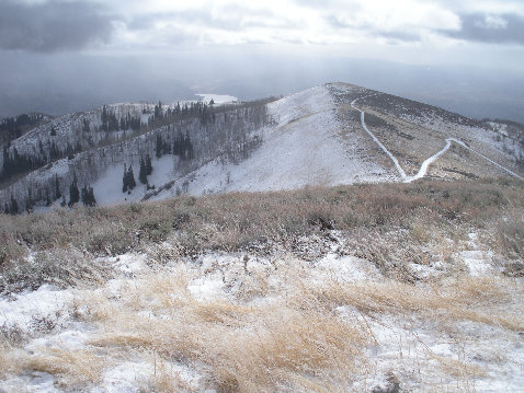 Lewis Peak Summit View