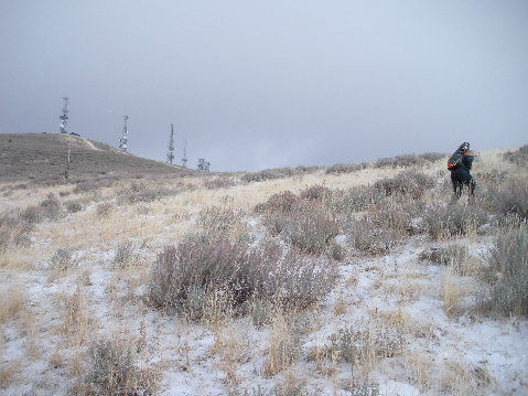 Hiking up Lewis Peak