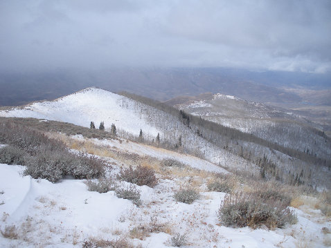 Lewis Peak Summit View