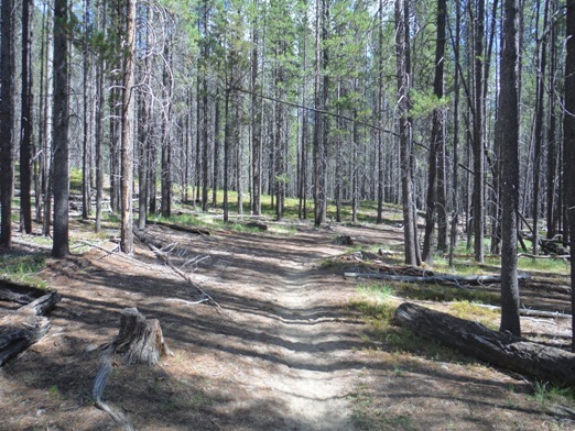 Chewack River Trail