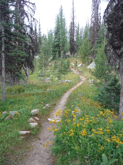 Boundary Trail