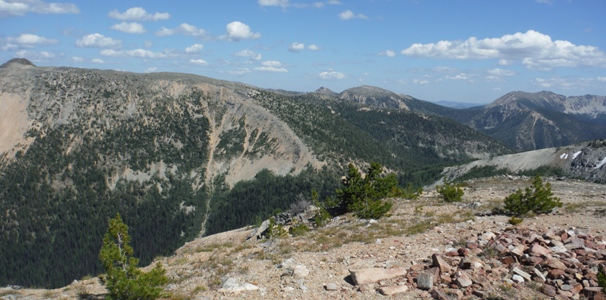 dollar watch mountain 