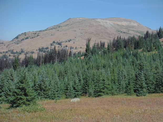 Armstrong Mountain