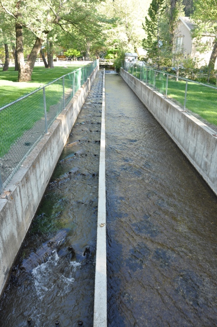 Fish ladder 