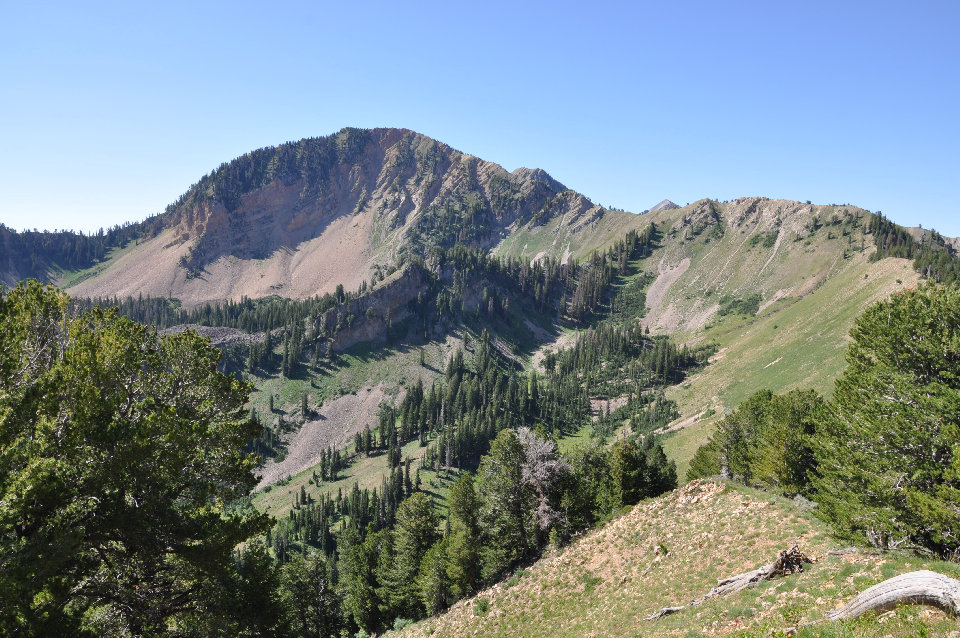 Shingle Mill Peak 