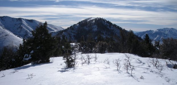 Maple Mountain from Y