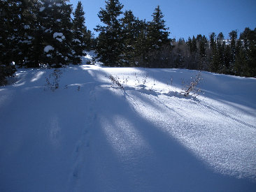 Maple Mountain snowshoe